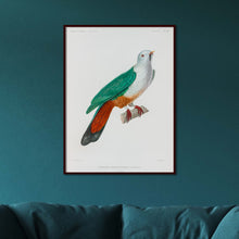 Load image into Gallery viewer, Bird