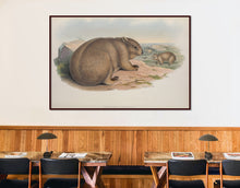 Load image into Gallery viewer, Wombat