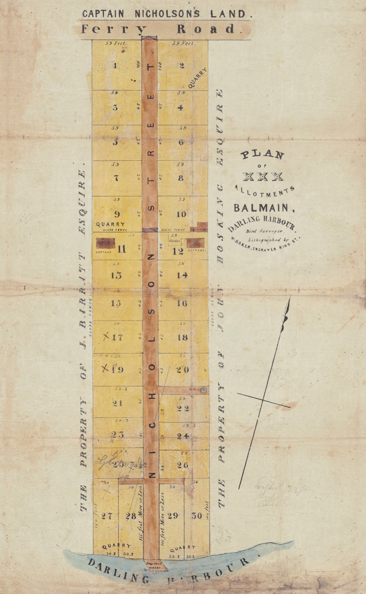 Plan of 30 Allotments Balmain, Darling Harbour