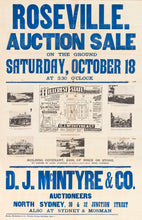 Load image into Gallery viewer, Roseville Auction Sale - Hillcrest Estate