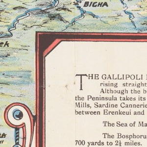 The Farmer & Settler Map of the Gallipoli War Area - 1915