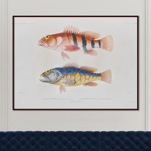 Load image into Gallery viewer, Fish