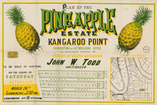 Load image into Gallery viewer, Pineapple Estate - Kangaroo Point