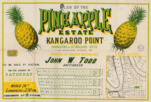 Pineapple Estate - Kangaroo Point