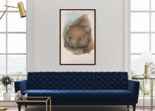 Load image into Gallery viewer, Wombat