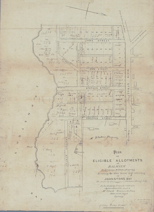 Plan of Eligible Allotments at Balmain... fronting the Main Street and extending to Johnston's Bay