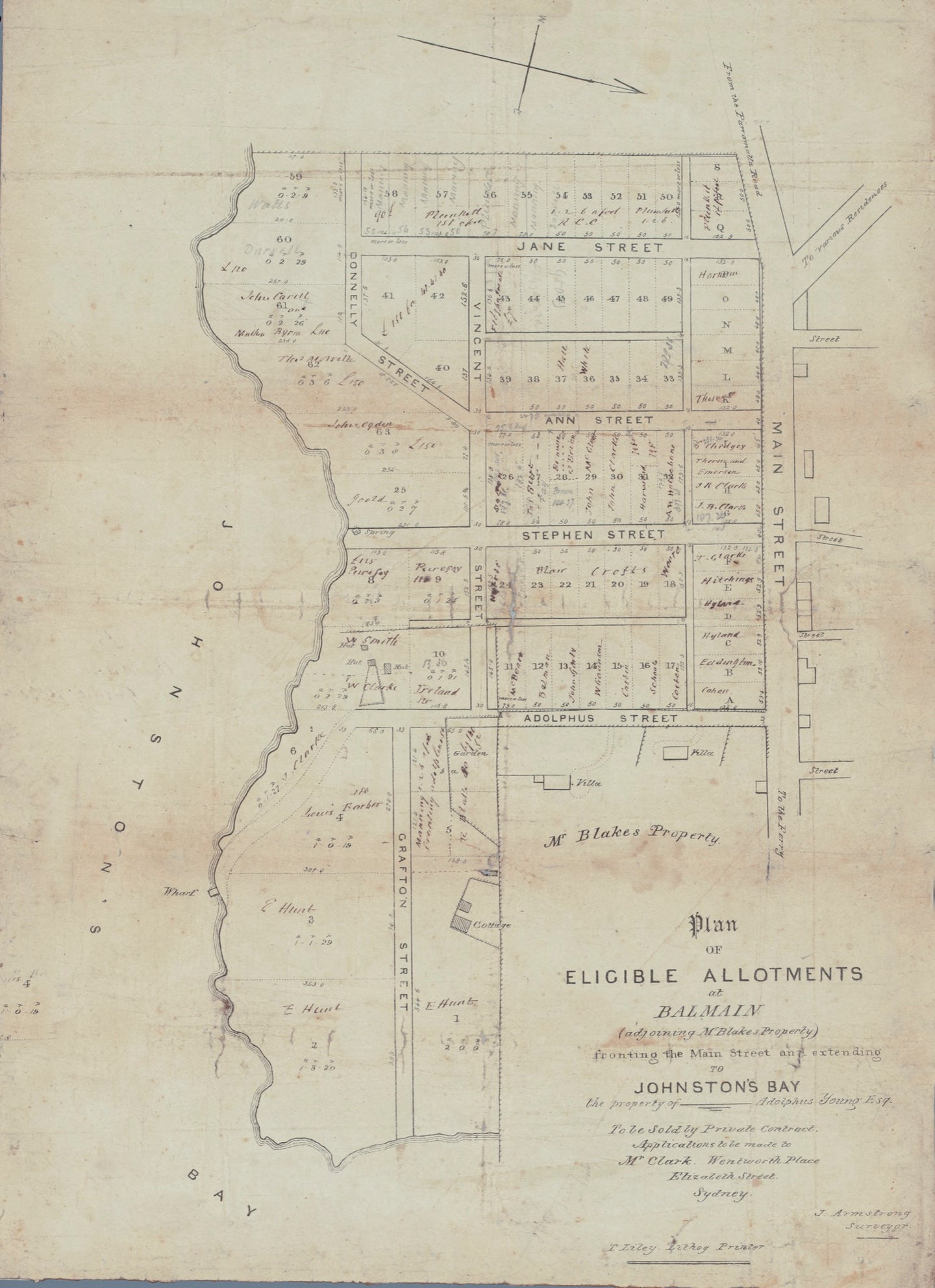 Plan of Eligible Allotments at Balmain... fronting the Main Street and extending to Johnston's Bay