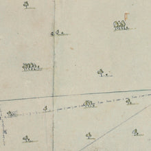 Load image into Gallery viewer, Plan of Mayfield, the property of Thomas Buxton Exqr, Little Swan Port, Van Diemen&#39;s Land
