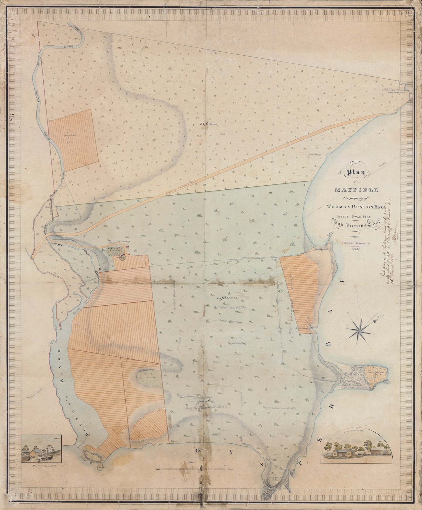 Plan of Mayfield, the property of Thomas Buxton Exqr, Little Swan Port, Van Diemen's Land