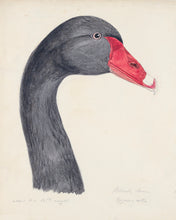 Load image into Gallery viewer, Black Swan