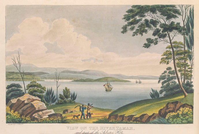 View of the River Tamar, and part of the Abeston Hills, Van Diemen's Land