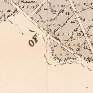 Auction Sale of Crown Lands on the Ground at Berowra, 1893