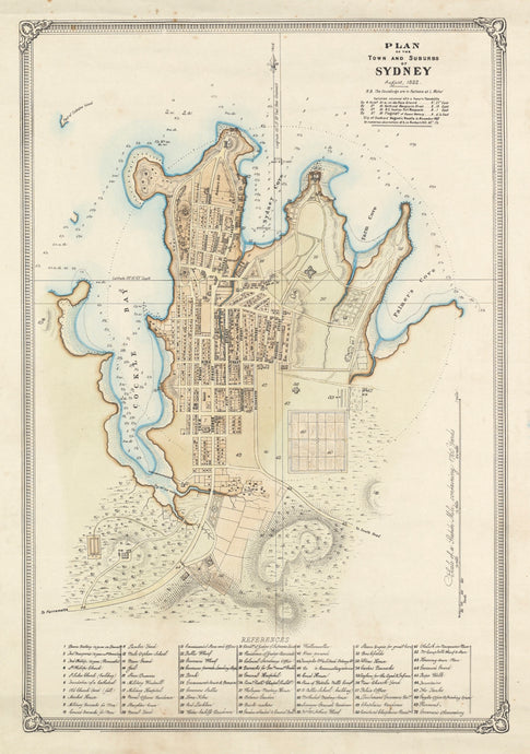 Plan of the Town and Suburbs of Sydney