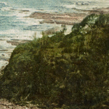 Load image into Gallery viewer, Coastal Scene of Cliffton, Illawarra District