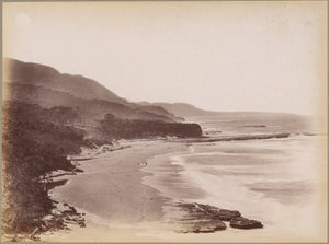 Looking North, Austinmer, circa 1890
