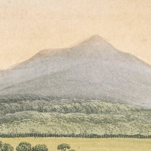 View of Tasman's Peak, from Macquaries Plains, Van Diemen's Land