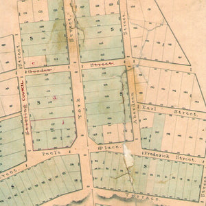 Site of Albany as surveyed by A. Hillman, Assistant Surveyor