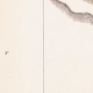 Map Shewing the Site of Melbourne and the position of the Huts & Buildings previous to the foundation of the Township by Sir Richard Bourke, in 1837