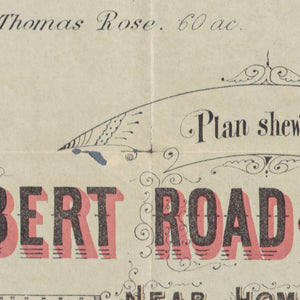 Plan shewing Albert Road & Allotments near Homebush... Parish of Concord