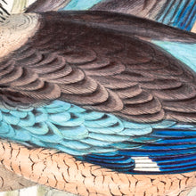 Load image into Gallery viewer, Blue-winged Kookaburra (Dacelo leachii), 1848