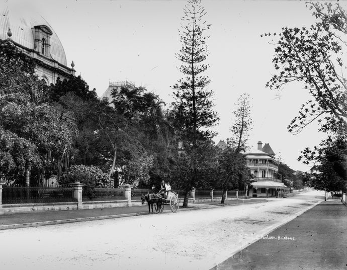Horse and Cart on George Street Outside Queensland Parliament, ca. 1890