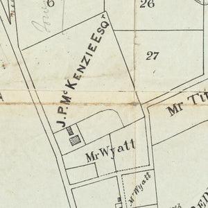 Plan of the Piperston Suburban Allotments near Sydney