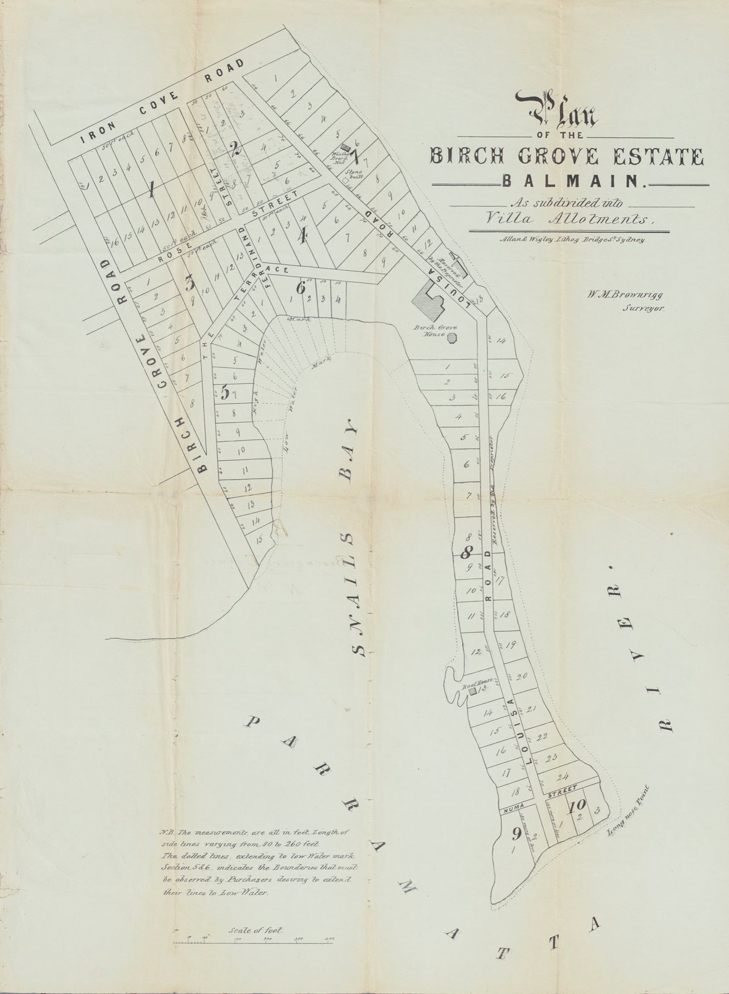 Plan of the Birchgrove Estate Balmain as subdivided with Villa Allotments